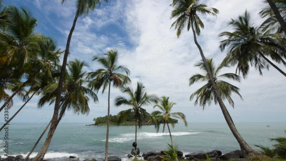 Tilt down on coconut trees in front of the devil island in French Guiana Tilt down on coconut trees in front of the devil island in French Guiana