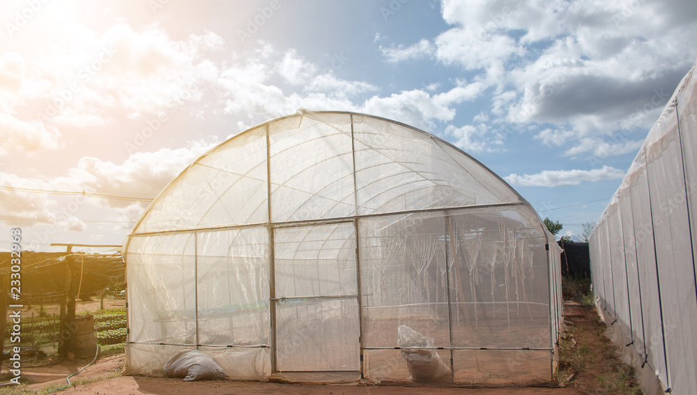 green house on plant.