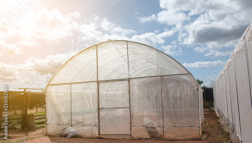 green house on plant.