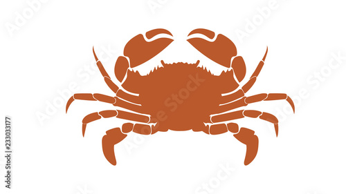 Red crab painted on white background