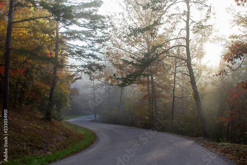 Misty Fall Morning
