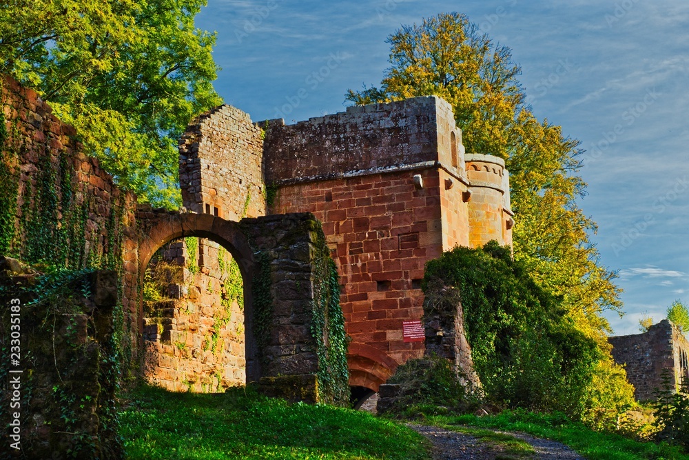 Fototapeta premium Torturm Burg Wildenberg