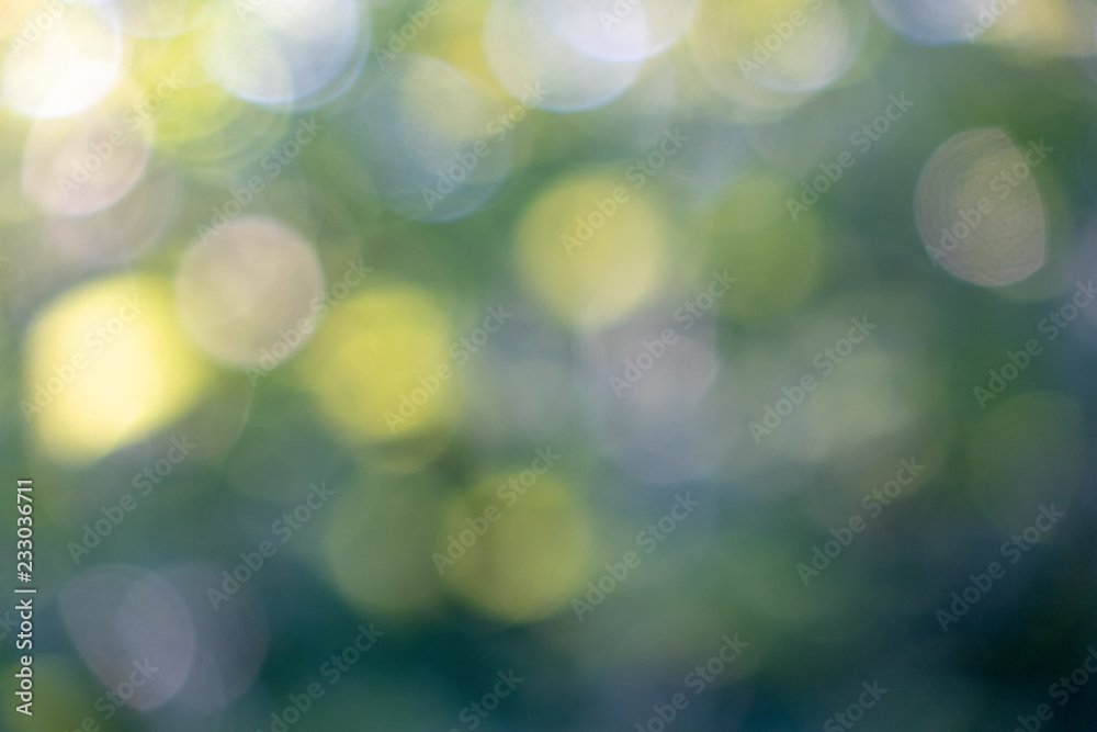Obraz premium Yellow and blue bokeh circles on a blurred natural green background. Beautiful layout for your ideas