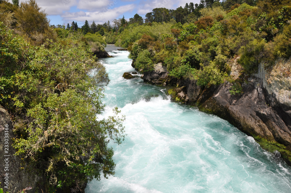 Obraz premium natur pur