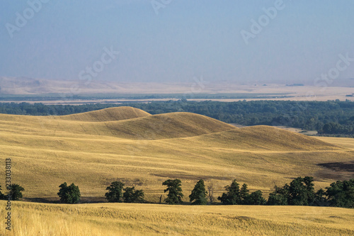 hills covered with dry grass, hostage of the sun