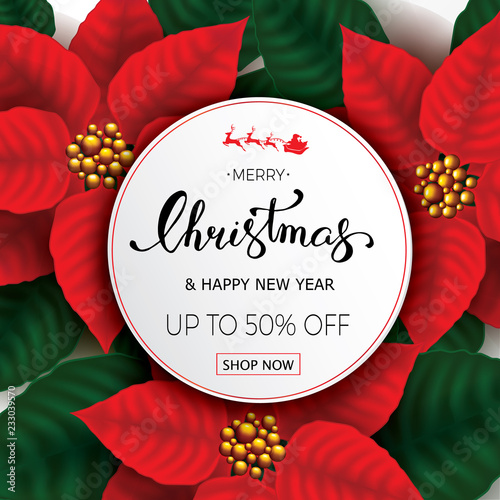 Christmas Background with Poinsettia Flowers sale banner. Calligraphic Christmas lettering. Winter vector illustration template