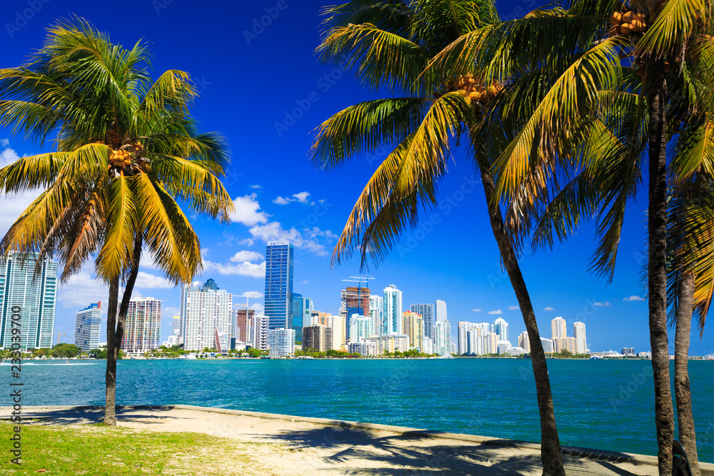 Naklejka premium Widok na panoramę Miami na Florydzie