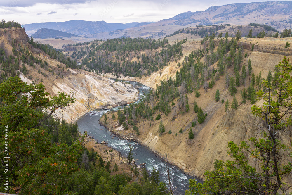 River in the Valley.Nature scenery of beautiful Yellowstone national park in Wyoming