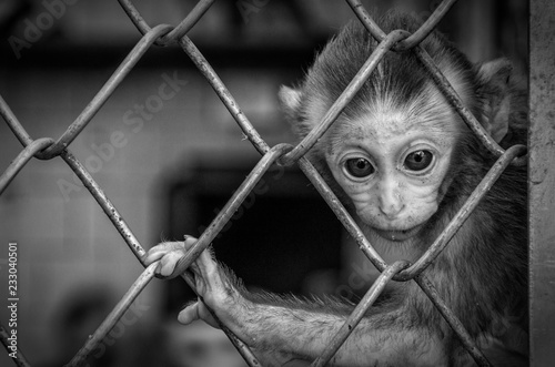 Zoo photo