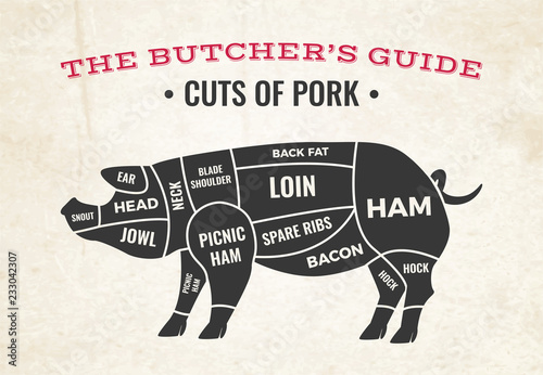 Cuts Of Pork Butchery Diagram
