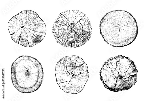 Set of cut tree trunks with circular rings isolated on white background. Textures of wood logs. Black and white vector illustration