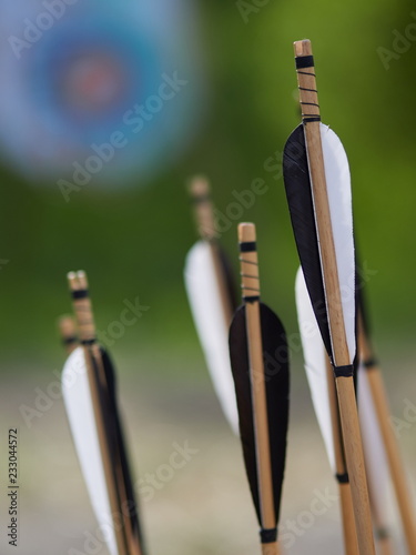 Fototapeta Naklejka Na Ścianę i Meble -  hand crafted arrows in medieval style each arrow with black and white color on the feather
