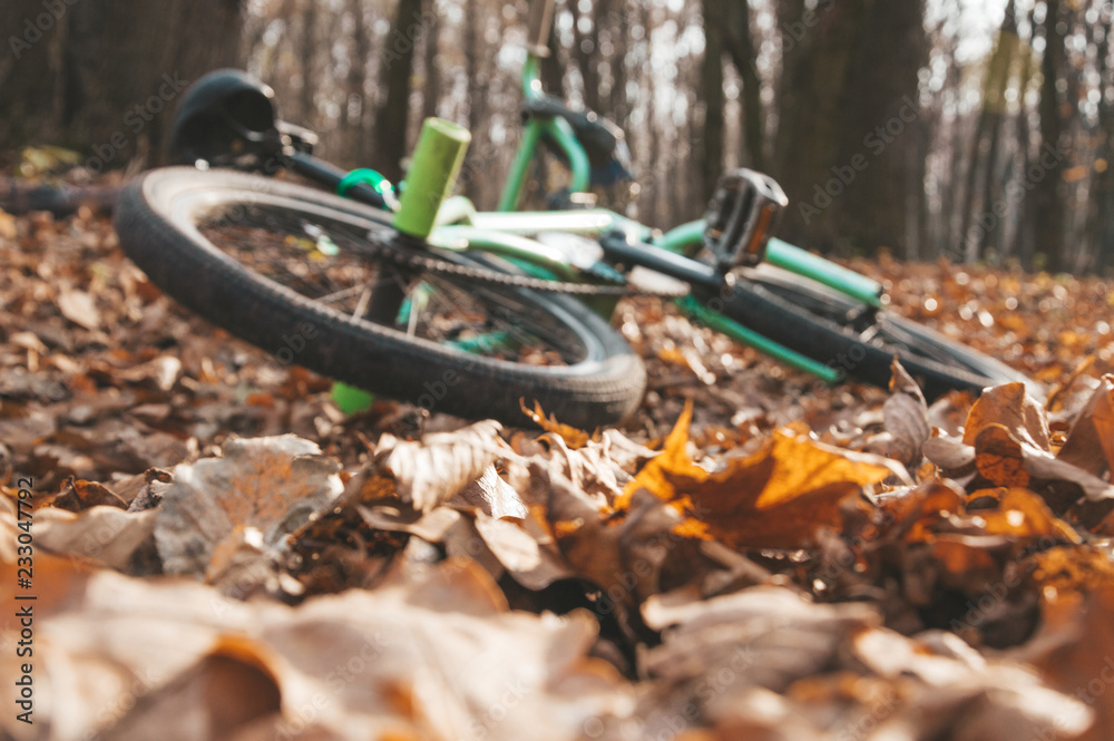 Naklejka premium bicycle in forest
