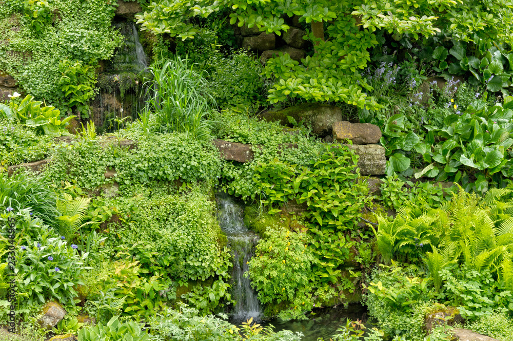 Beautiful garden with a lot of green plants Beautiful garden with a lot of green plants