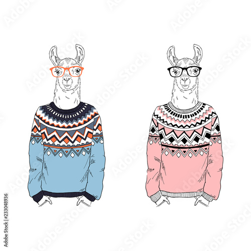 Llama in ugly sweater.