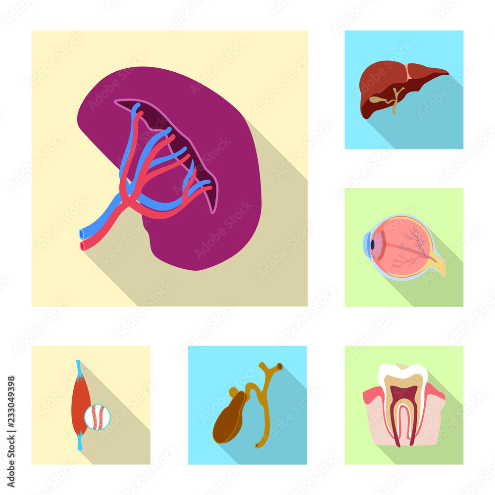 Isolated object of body and human symbol. Collection of body and medical stock vector illustration.