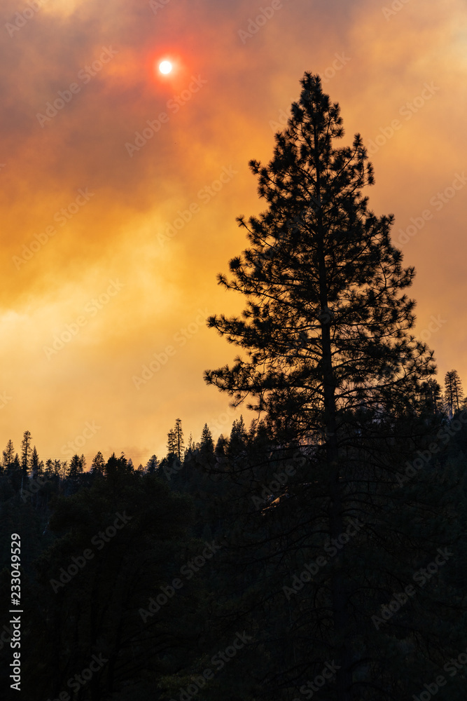 Destruction in Paradise, California Wildfire Destruction in Paradise, California Wildfire