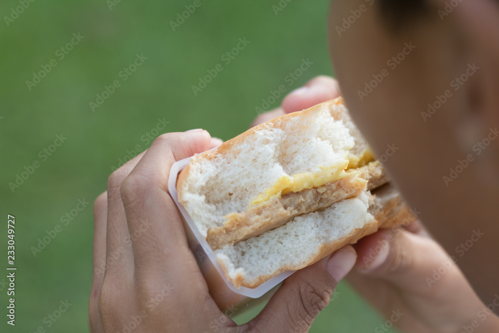 A boy is eating burger with green field background, picnic concept