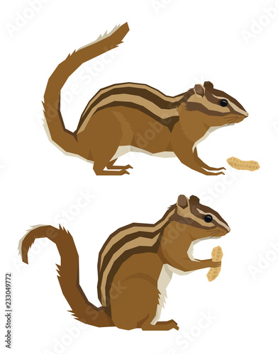 Forest Wildlife Vector animals Geometric style Chipmunks and peanuts