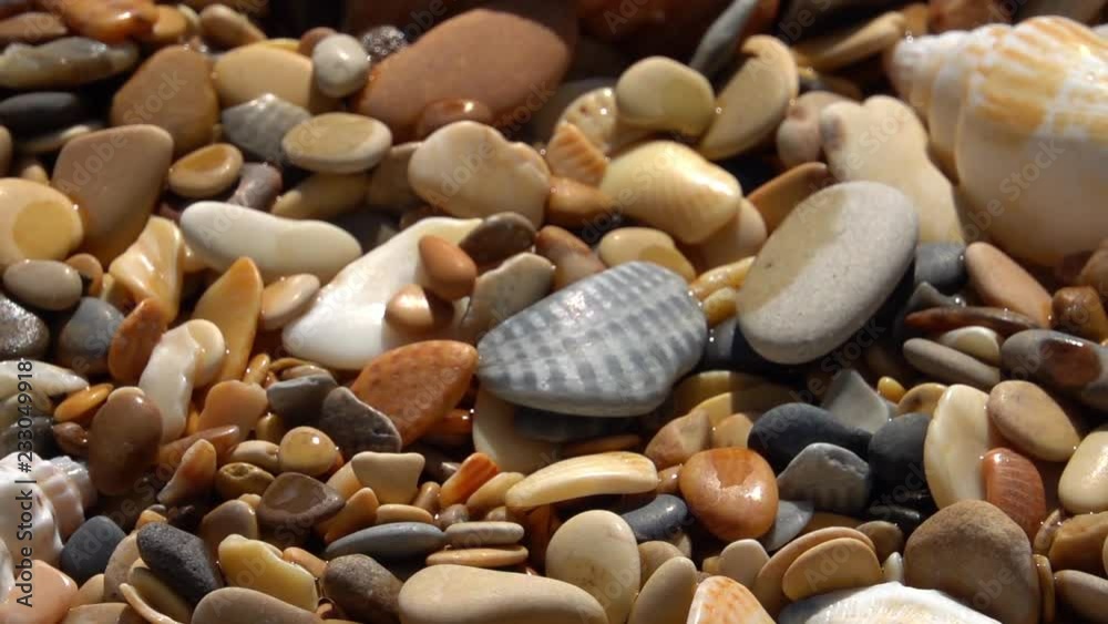 Sunny vertical panning of wet beach with round pebbles and sea shells close up. Amazing natural background with vibrant texture in sun shine.
Sunny vertical panning of wet beach with round pebbles and sea shells close up. Amazing natural background with vibrant texture in sun shine.