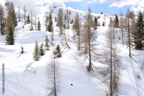 the peaks of the Alps in winter with soft snow