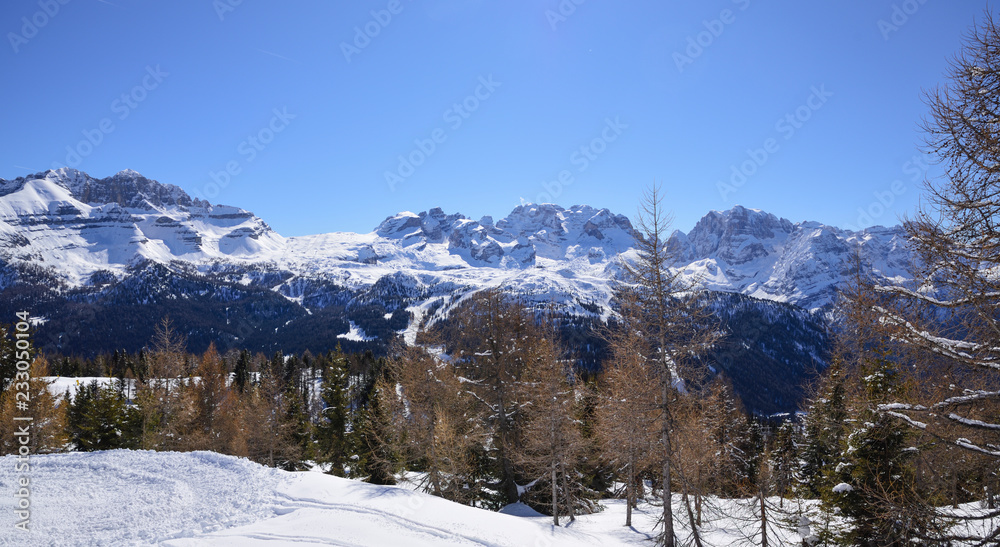 the peaks of the Alps with snow on a sunny winter day