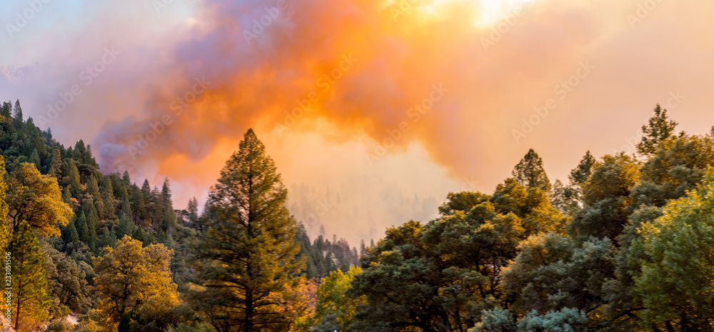 Fototapeta premium Destruction in Paradise, California Wildfire 