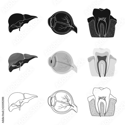 Vector design of body and human symbol. Set of body and medical stock vector illustration.