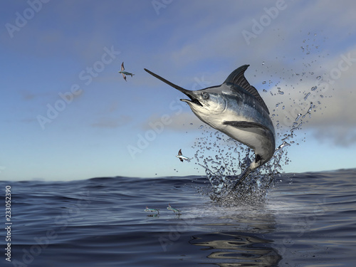 Beatiful marlin swordfish jumping out of water to catch flying fish 3d Render photo