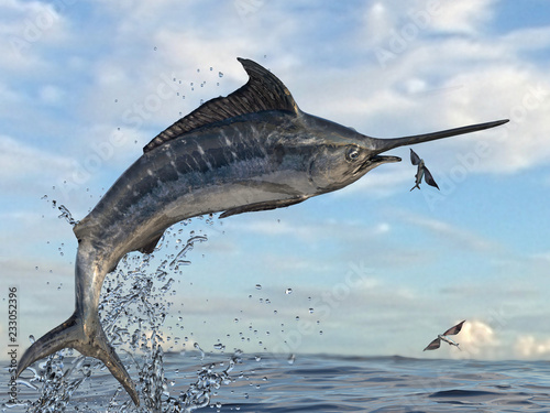 Side view of marlin sailfish catching flying fishes in the air between water splashes 3d Render photo