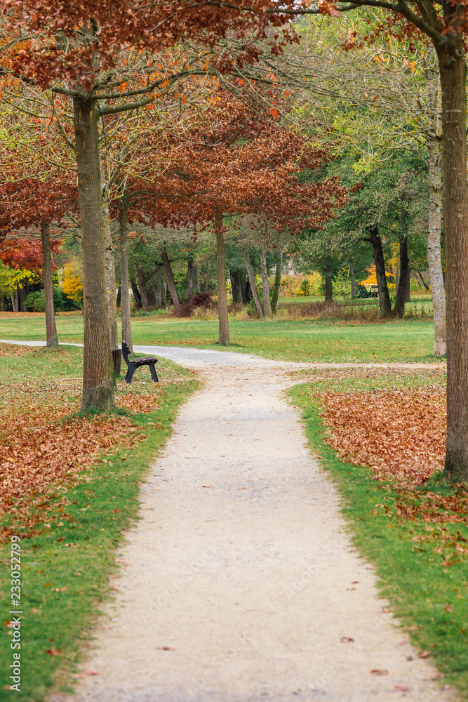 Herbstlicher Weg im Park Herbstlicher Weg im Park