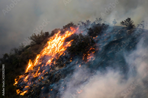 Detail Flame Burning Brush and Trees on Hillside in California Woolsey Fire