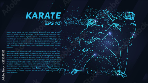 Karate of blue glowing dots. Particle karate.