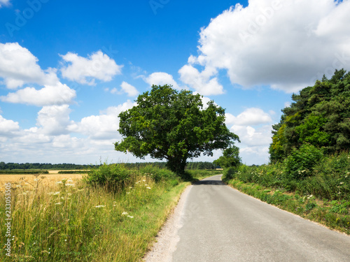Rural road in farmland in Lincolnshire UK