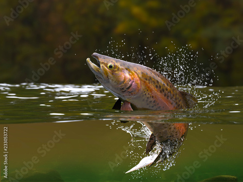 Принти на полотні Brown trout fish jumping in river halfwater view 3d realitstic render