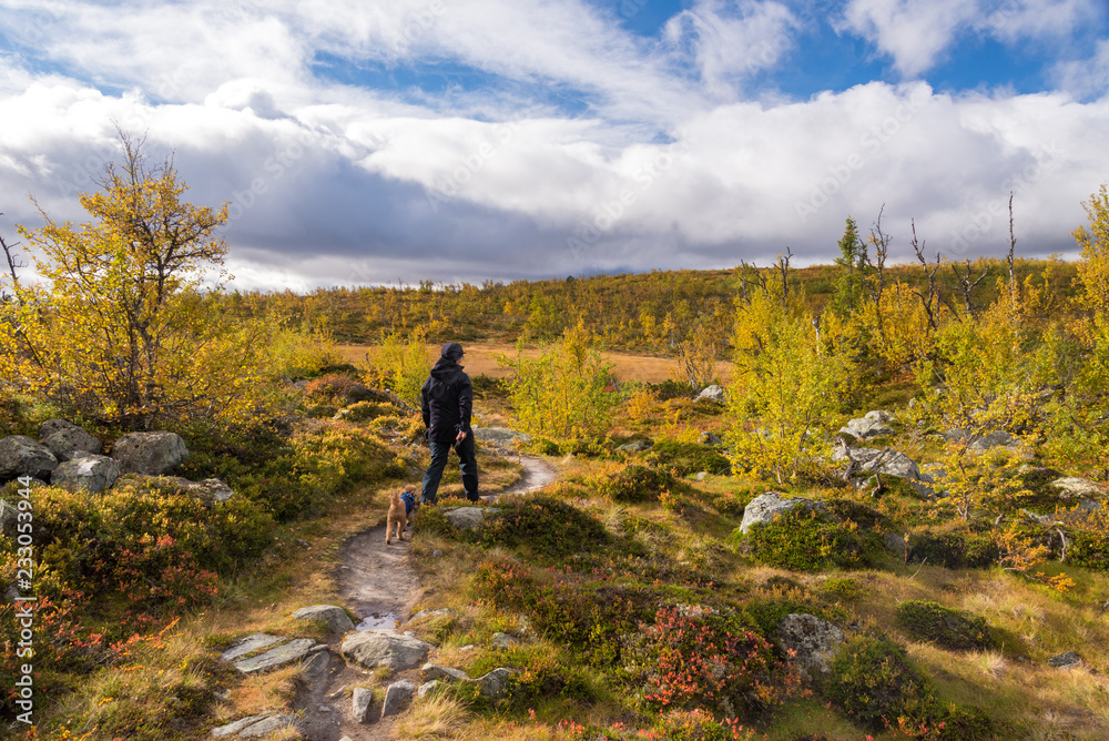 Fototapeta premium woman walking in mountains