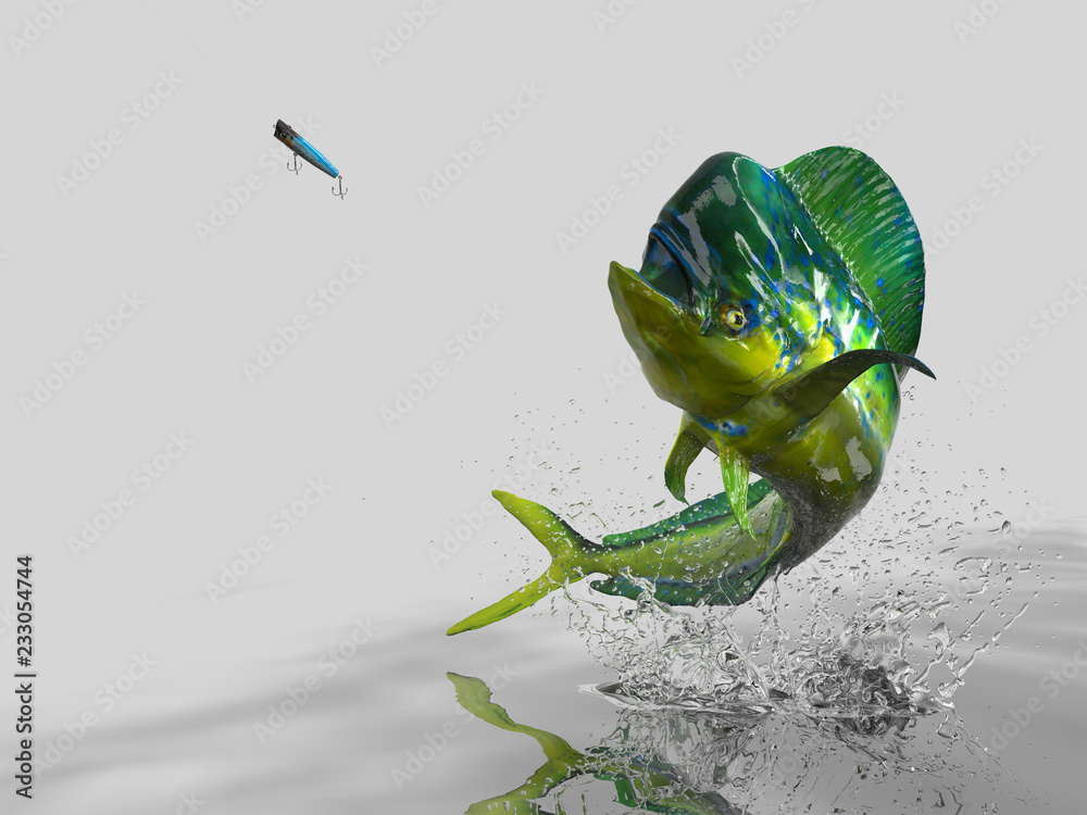 Big catch of Mahi mahi dolphinfish in white background with splashes hooked  by popper bait 3d render Stock Illustration