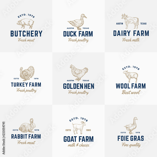 Domestic Animals and Poultry Retro Vector Logo Templates Set. Hand Drawn Vintage Cattle and Birds Sketches with Vintage Typography. Pig, Cow, Chicken, Rabbit, Turkey, etc. Isolated Labels Collection