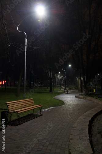 Bench in park at night