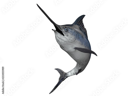 Marlin swordfish jumping in air game fish cutout 3d render photo