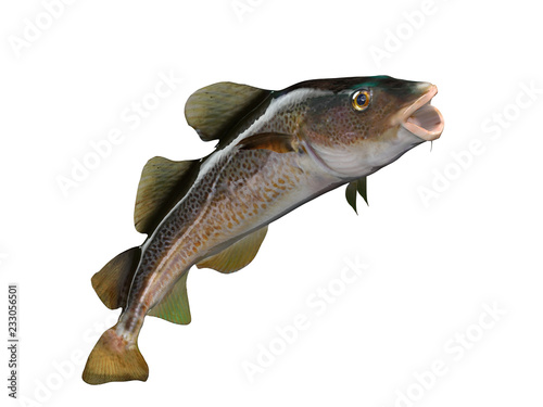 Big mouth cod fish upwards pose 3d render isolated photo