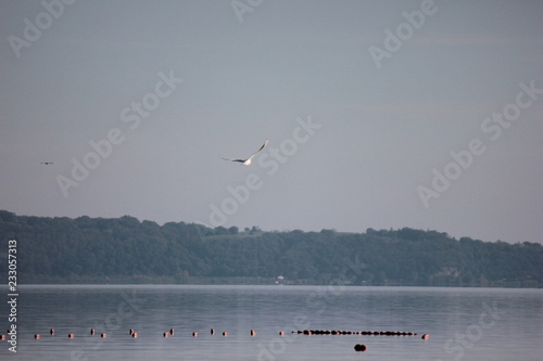 bracciano photo