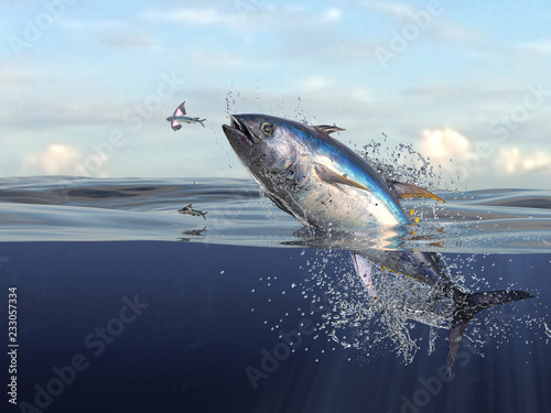 Tuna fish jumping out of water half of it in water, so many splashes and action in ocean 3d render photo