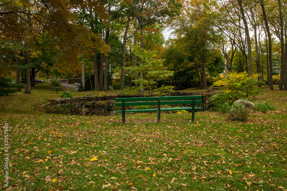 green, empty bench overlooking pond in new england's autumn