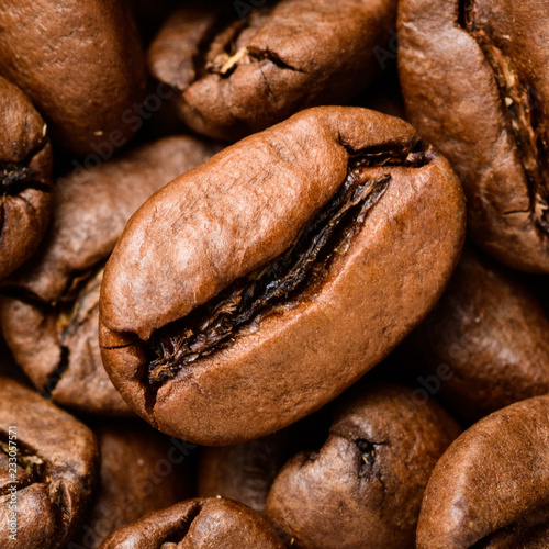 coffee beans close-up.