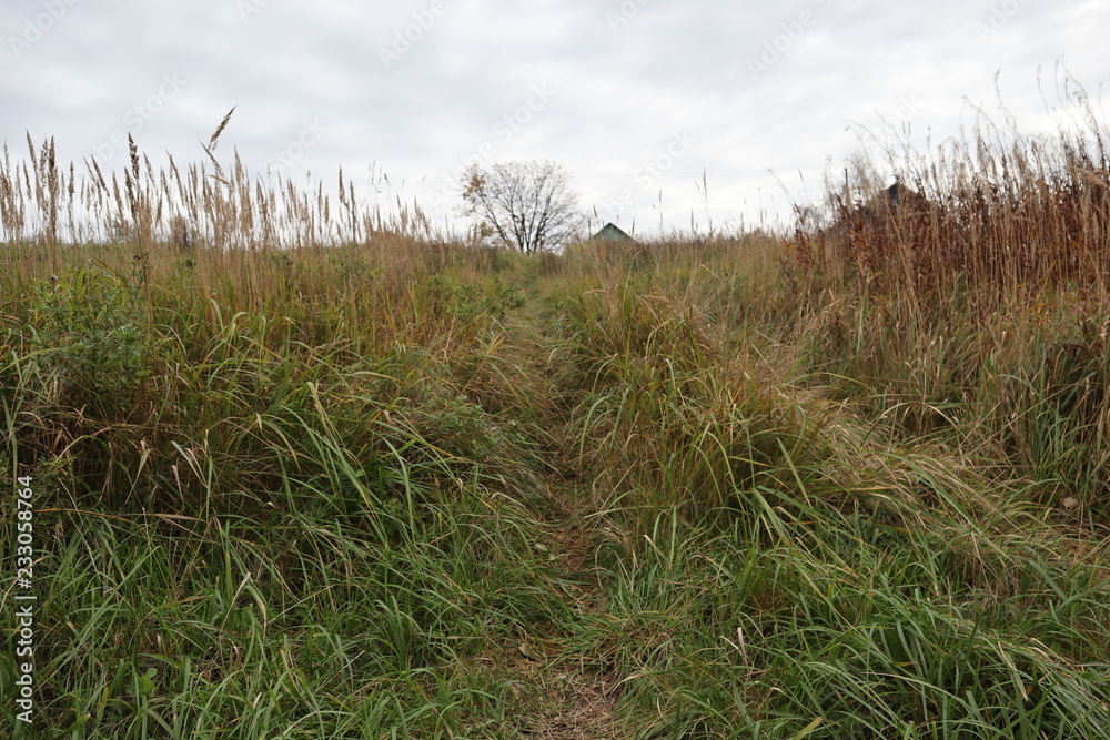 Fototapeta premium Autumn pictures the Leningrad region
