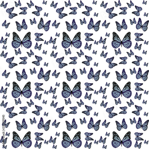 butterfly pattern 