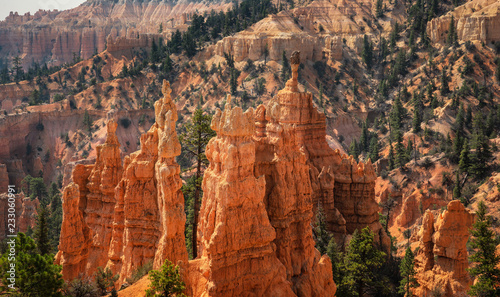 Bryce Canyon - on the Fairyland Loop Trail