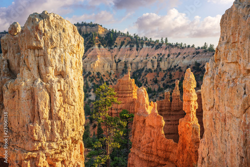 Bryce Canyon - Late evening on the Fairyland Loop Trail