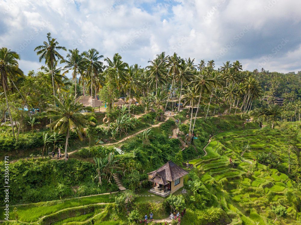 Aerial view to Tegallalang rice terraces near Ubud. Beautiful scenes of rice paddies and well-known spot for tourists. Bali, Indonesia.